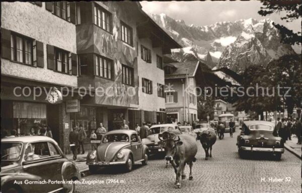 Garmisch-Partenkirchen Zugspitze Kühe Photo Bickert