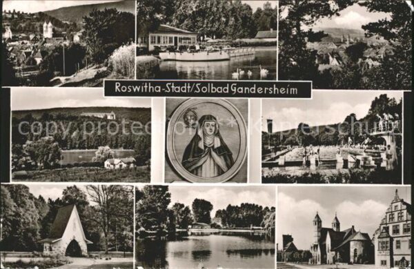Bad Gandersheim Roswitha Stadt Teilansichten Schwanente