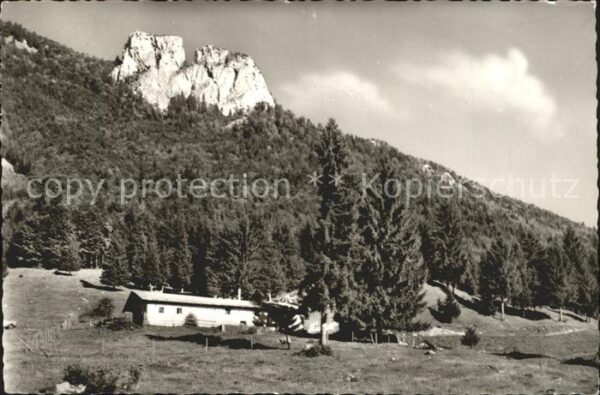 Chiemgau Weitwiesalm Zwilling Mettenham