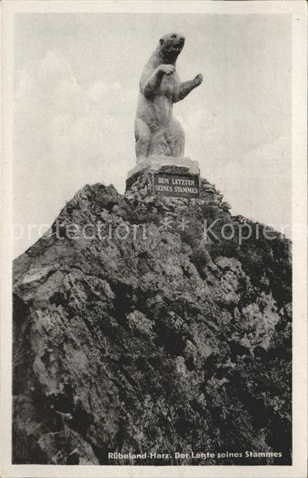 Ruebeland Harz Der Letzte seines Stammes