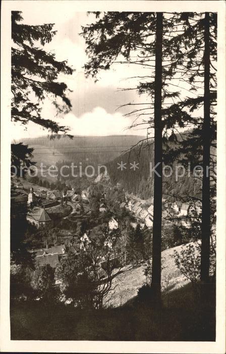 Wildemann Berggasthaus Schöne Aussicht