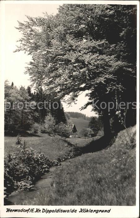 Hermsdorf Erzgebirge Dippoldiswalde Köhlergrund
