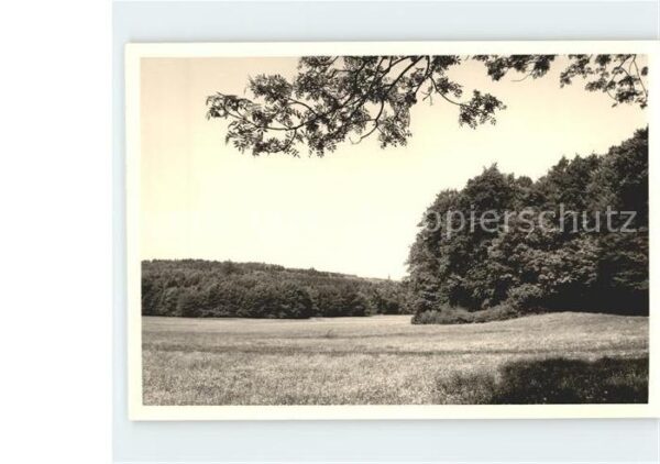 Bad Schussenried Aussicht vom Waldbank