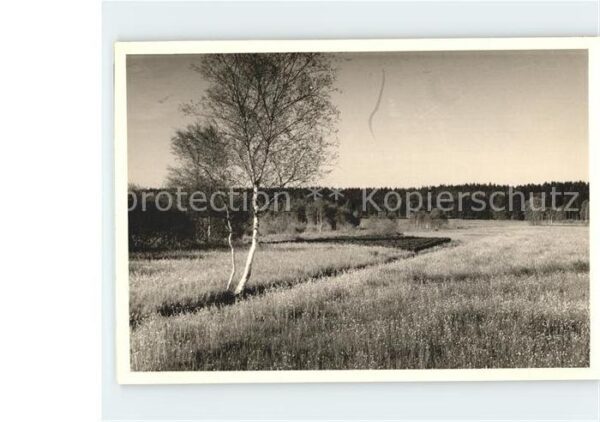 Bad Schussenried Moorlandschaft
