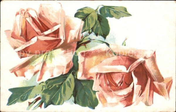 Rosen Litho