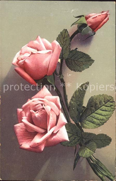 Rosen