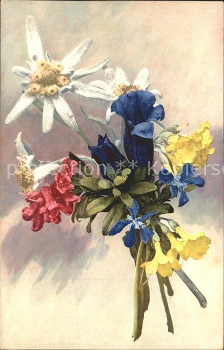 Edelweiss Enzian Alpenrosen Schlüsselblumen