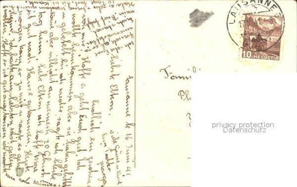 Rosen – Bild 2