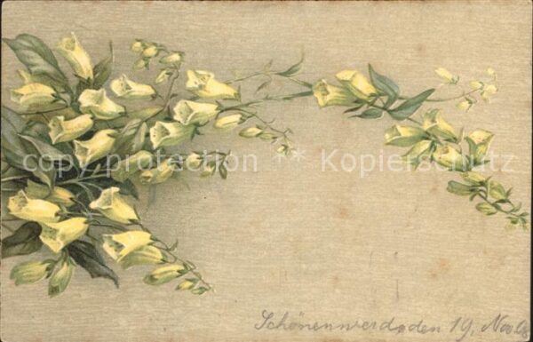 Blumen Schönenwerd Litho