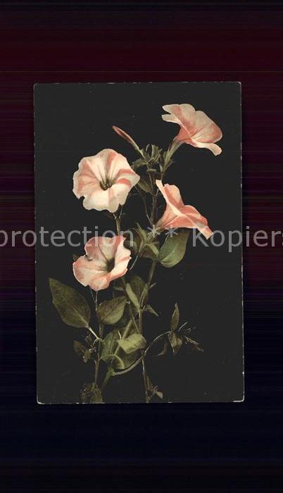 Blumen