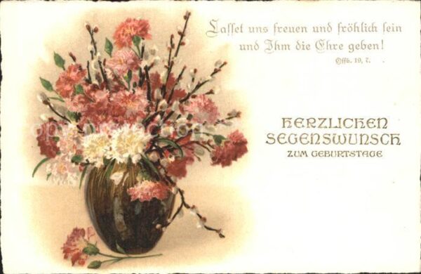 Geburtstag Nelken Weidenkätzchen Litho