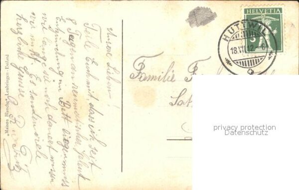 Haller Anna Schlüsselblumen – Bild 2