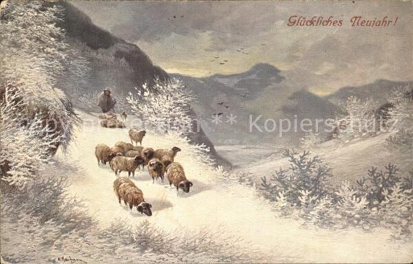 Schafe Hirte Neujahr