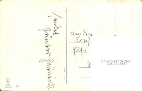 Konfirmation Massliebchen Primeln Schlüsselblumen – Bild 2