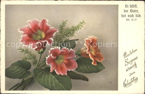 Geburtstag Blumen