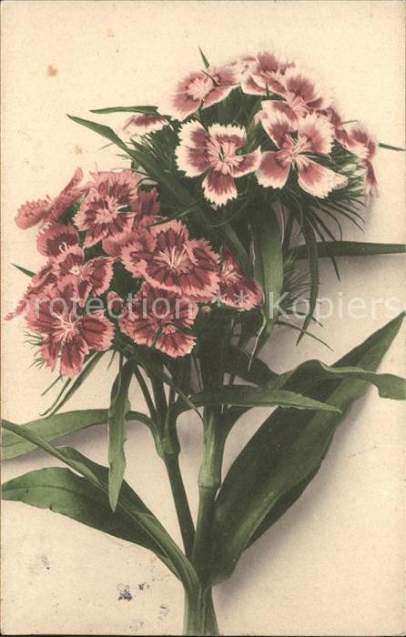 Blumen Bahnpost-Stempel