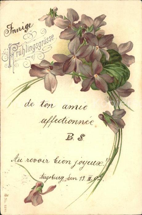 Blumen Frühlingsgrüsse Veilchen Litho