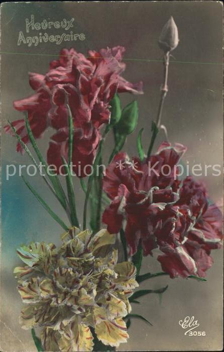 Foto ELA Nr. 3056 Blumen Geburtstag