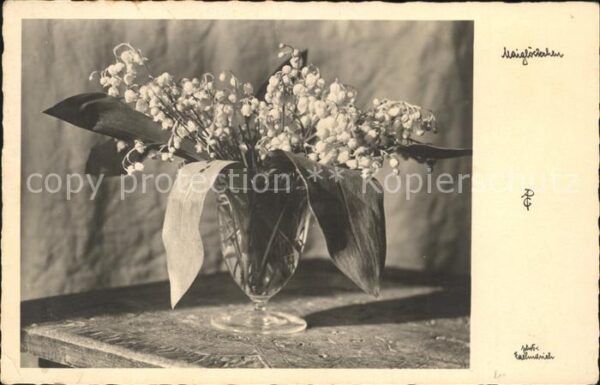 Maigloeckchen Vase