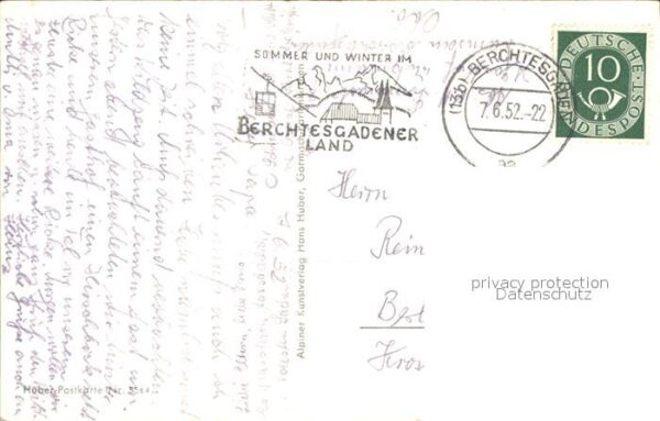 Foto Huber H. Nr. 5564 Gemse Gemsennest Gamskogel – Bild 2