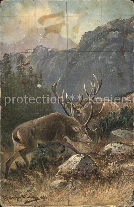 Hirsch