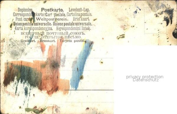 Hirsch – Bild 2