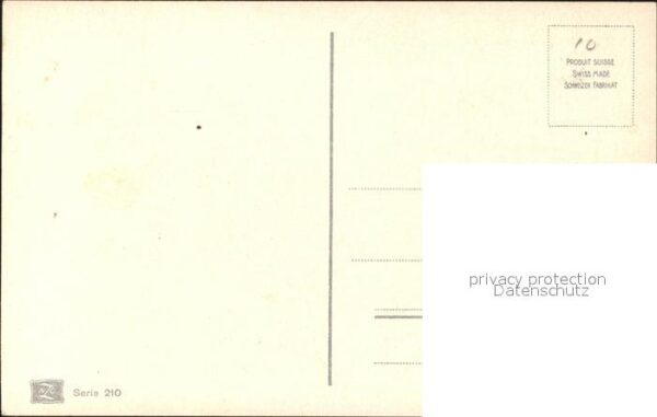 Rosen – Bild 2