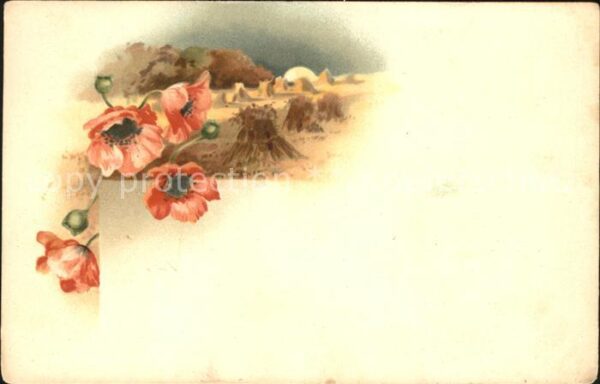 Blumen Mohnblumen Heu Litho