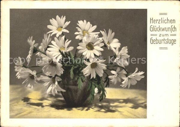 Geburtstag Margeriten