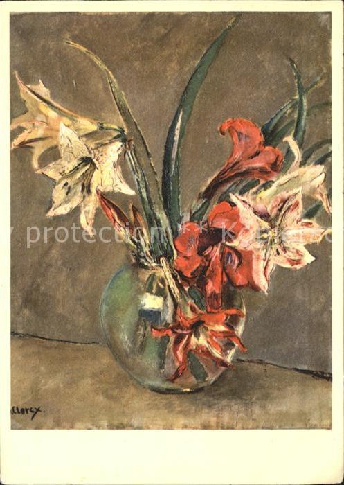 Kuenstlerkarte Ilse Clercx Ronco Amaryllis