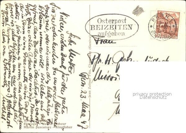 Voegel Eisvogel C. Zeltner Nr. 412 – Bild 2