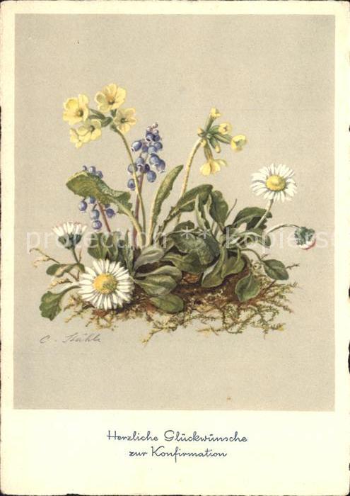 Konfirmation Gänseblümchen Schlüsselblumen