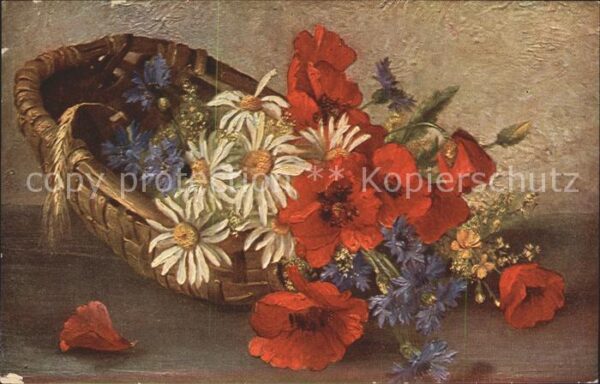 Blumen Mohnblumen Kornblumen Margeriten