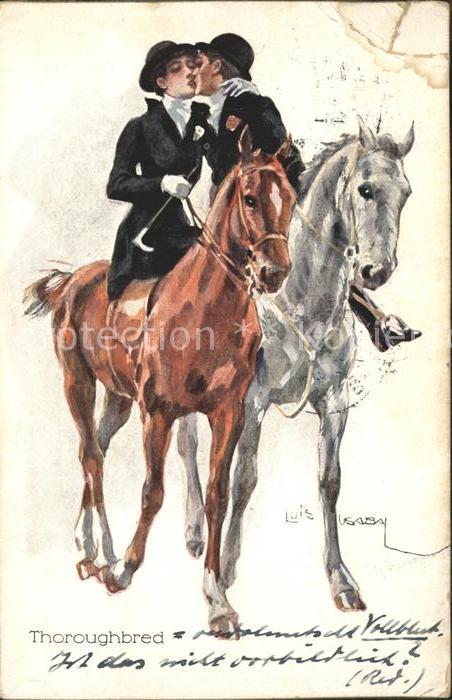 Pferde Thoroughbred Vollblut