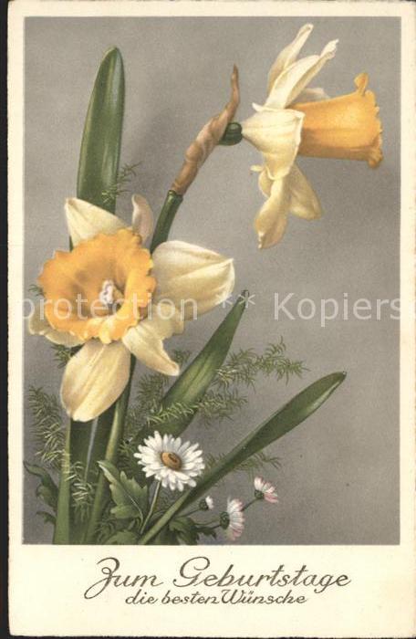 Geburtstag Narzissen Gänseblümchen