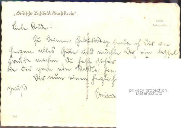 Hasen Kinder – Bild 2
