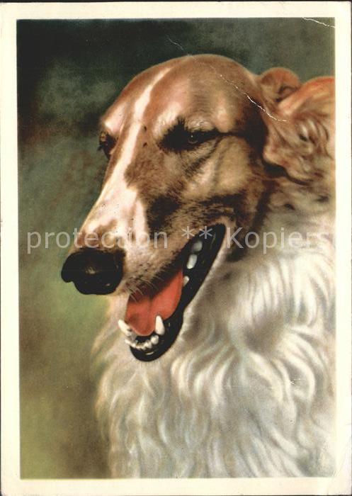 Hunde