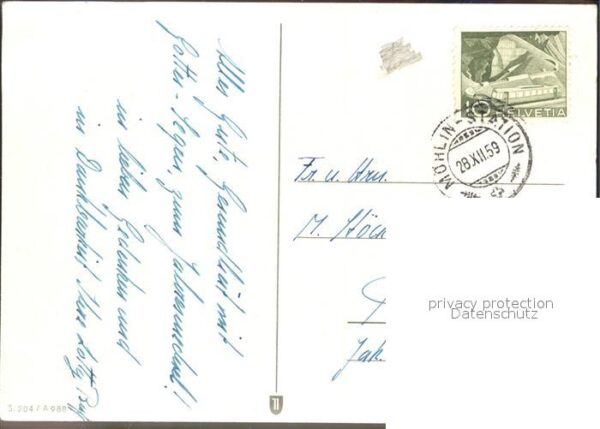 Hunde – Bild 2