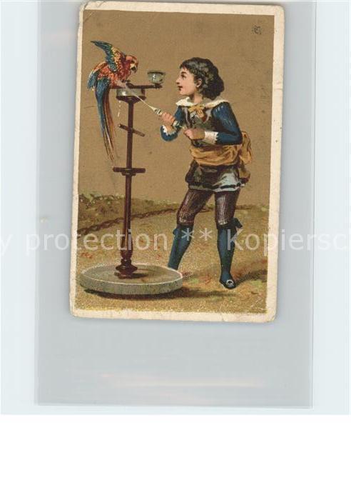 Voegel Papagei Kind Litho