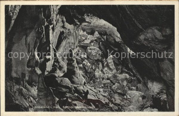 Ruebeland Harz Schildkrötenschlucht