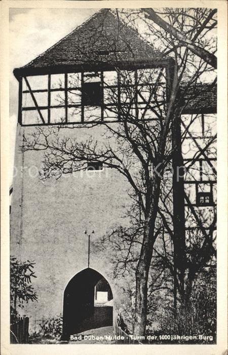 Bad Dueben Turm der 1000jährigen Burg