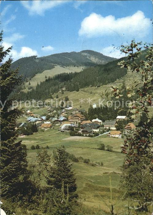 Menzenschwand Panorama