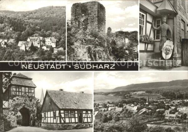 Neustadt Harz Teilansicht Ruine Statue Stadttor Panor
