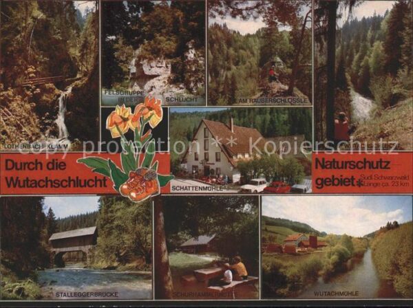 Wutach Lothenbachklamm Am Räuberschlössle Scha