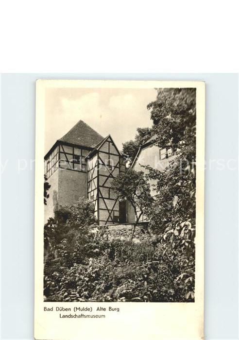 Bad Dueben Alte Burg Landschaftsmuseum