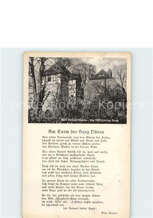 Bad Dueben Am Turm der Burg Düben