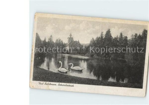 Bad Salzbrunn Szczawno-Zdroj Schwedenteich Schwäne