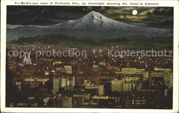Portland Oregon Birds eye view by moonlight showing Mt