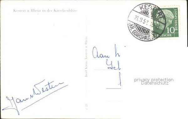 Kestert Rhein in der Kirschenblüte Panorama – Bild 2