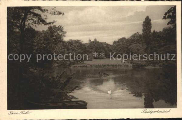 Essen Ruhr Stadtgartenteich Schwan